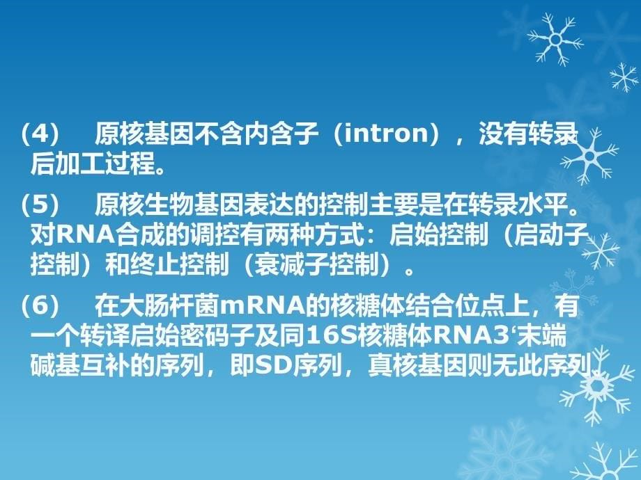 工程菌的高效表达和稳定性_第5页