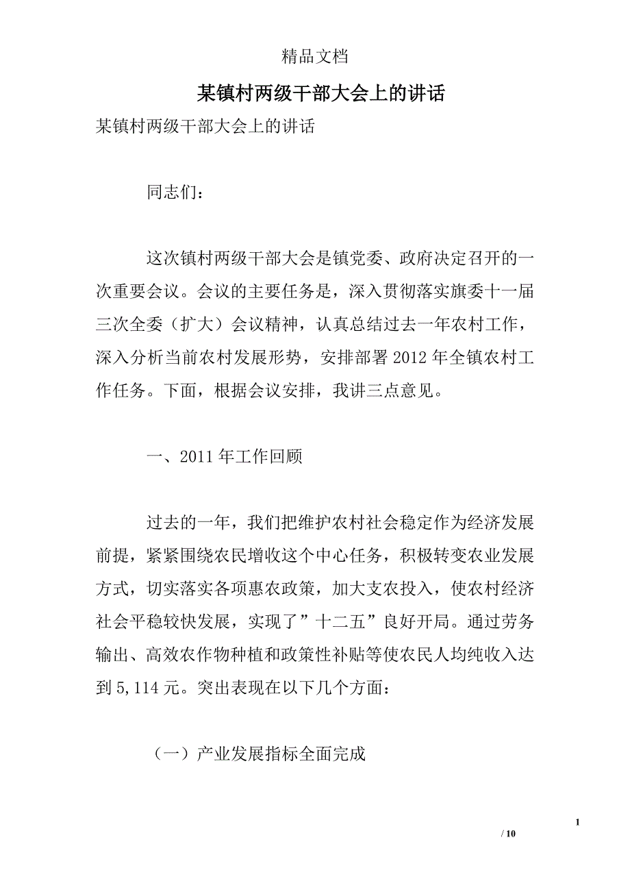 某镇村两级干部大会上的讲话精选 _第1页