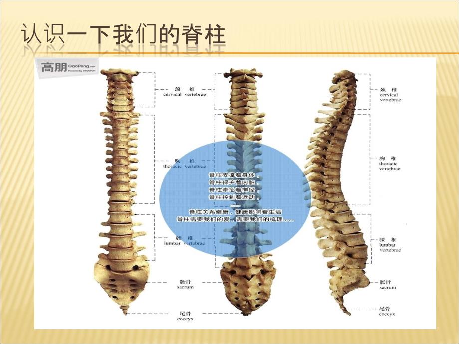 腰椎间盘突出的健康教育_第2页