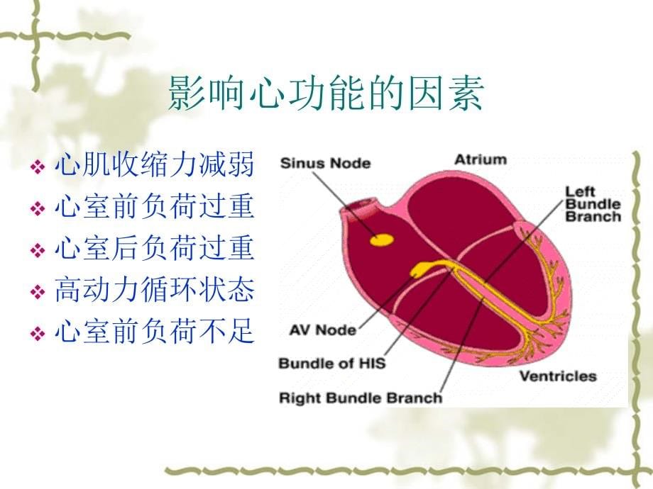 心肺功能训练技术_第5页