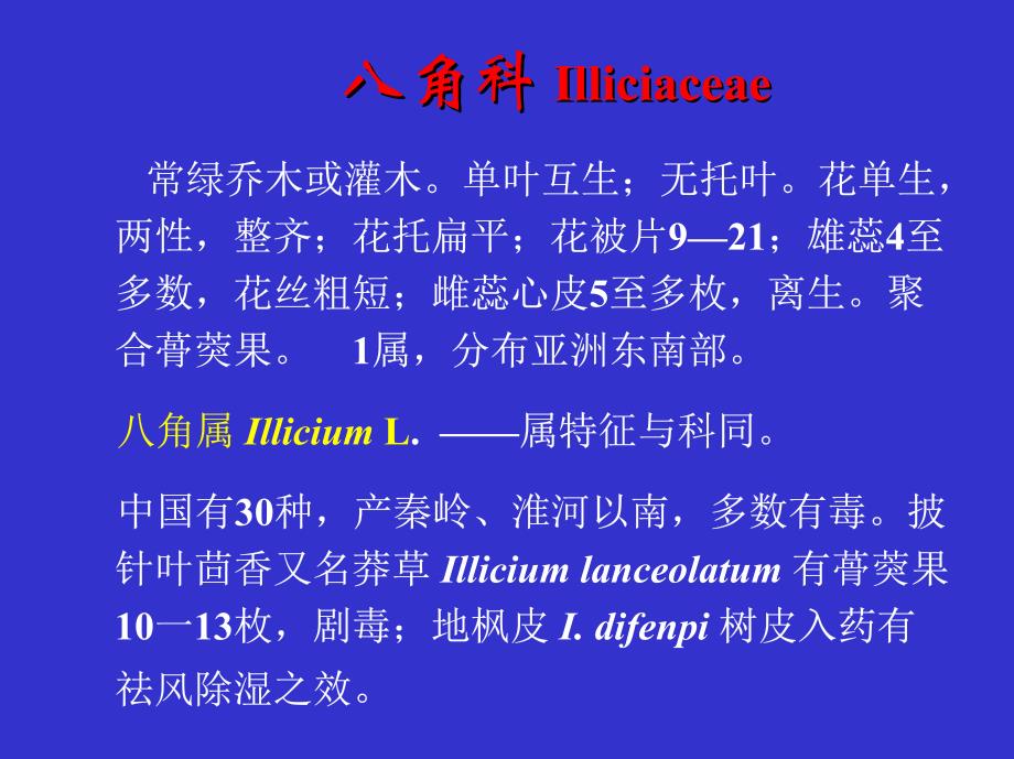 植物科属分类b-23--八角科_第1页