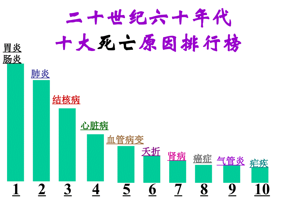 人体九大系统1_第3页