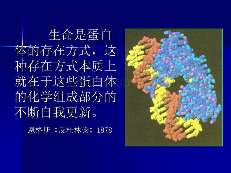 《生物化学》第1章  蛋白质化学_第3页