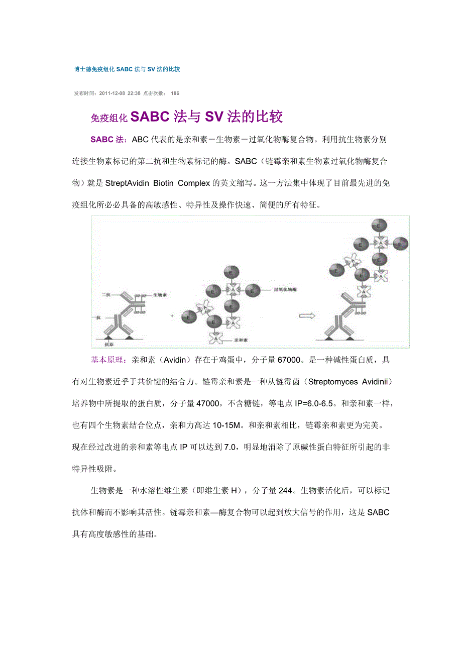 免疫组化sabc法与sv法的比较_第1页