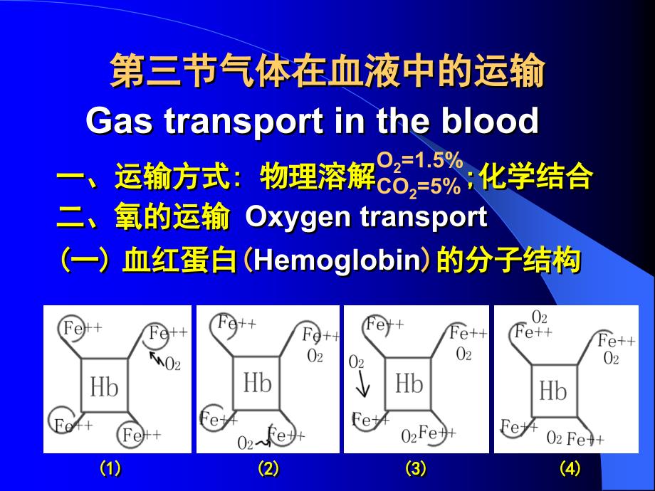 生理第五章课件第三部分_第1页