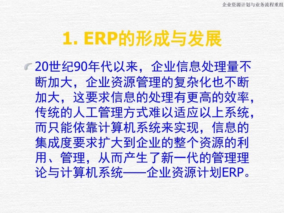 【管理精品】ERP&BPR培训教材_第5页