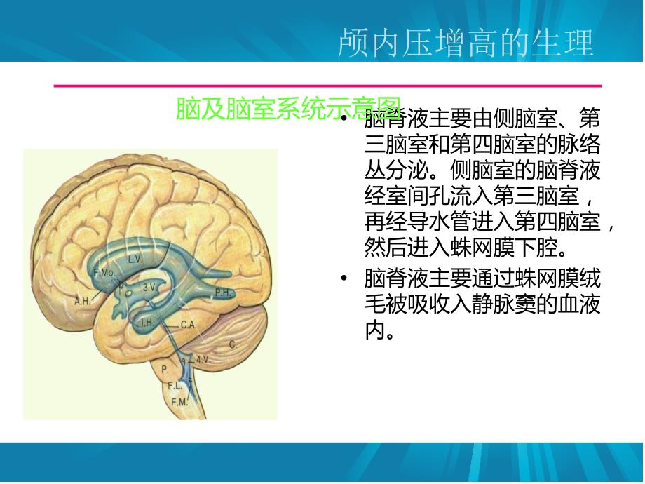 急性脑水肿与颅内高压_第3页