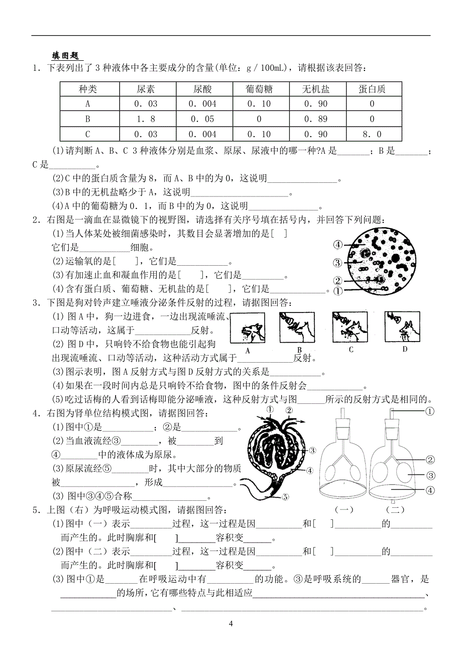 苏教版七年级生物下期末试卷_第4页