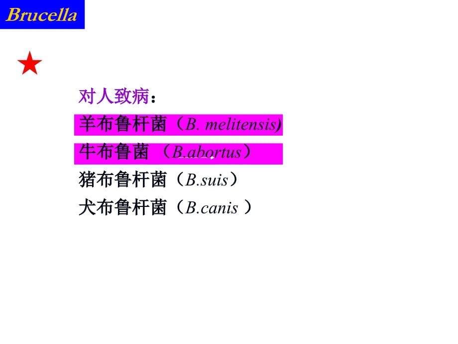 [医学微生物学]动物源性细菌 放线菌属 其他_第5页