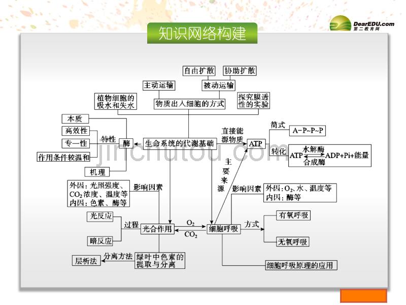 （广东专用）高考生物大二轮专题复习 第2单元 生命系统的代谢基础课件 新人教版_第3页