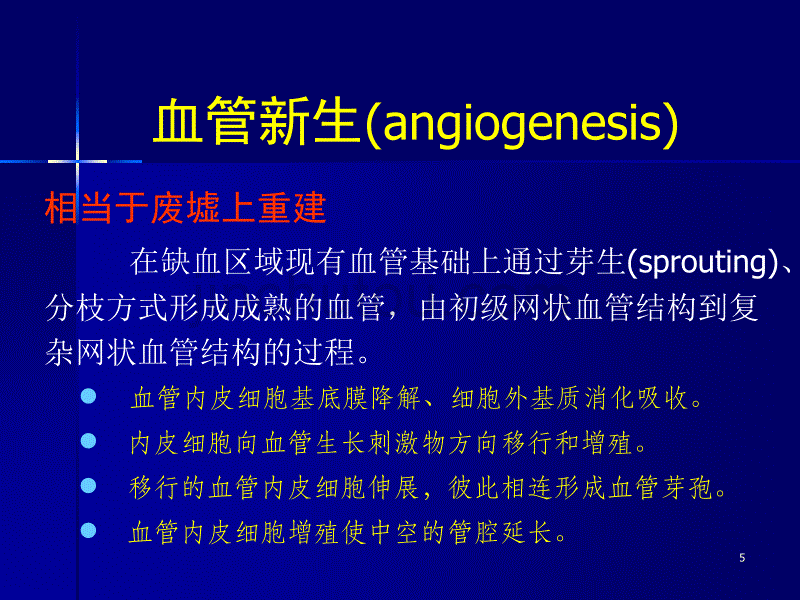 麝香保心丸：治疗性血管新生和系统生物学研究(新)_第5页