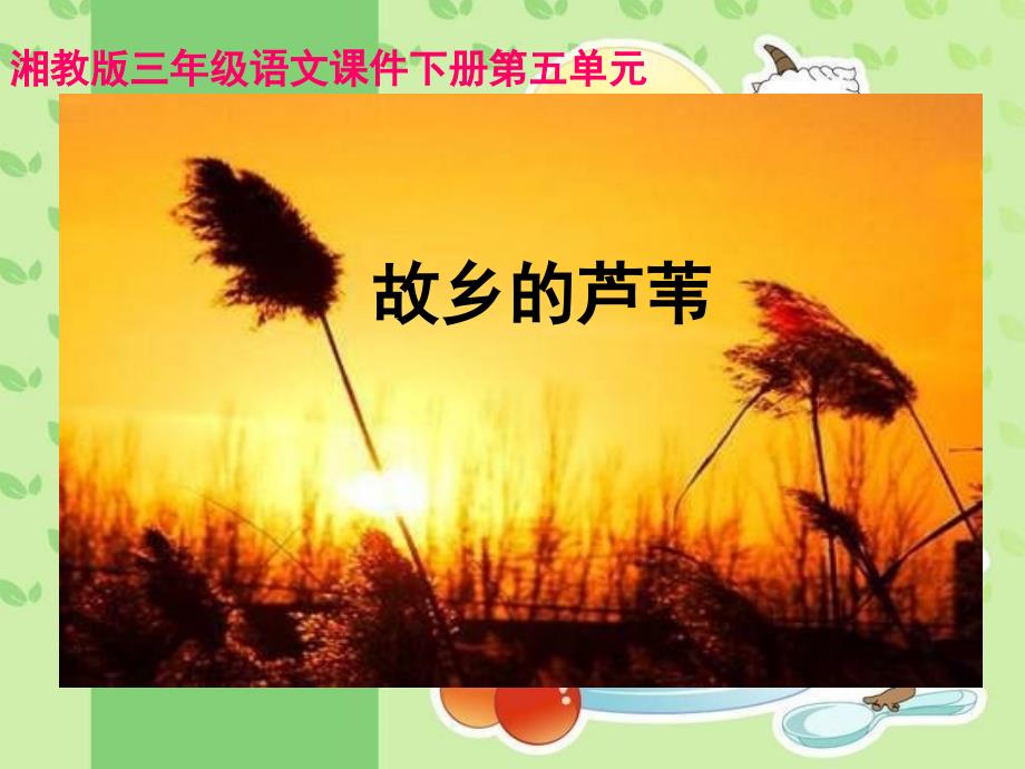 小学语文三年级下册《故乡的芦苇》教学课件(湘教版)_第1页