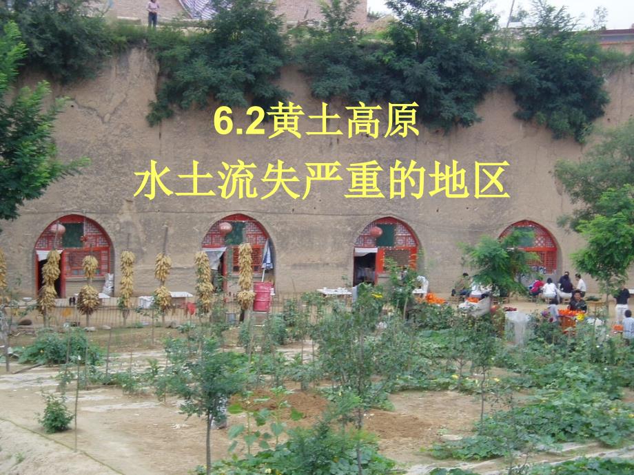 新人教版八年级地理下册6.3_世界最大的黄土堆积区—黄土高原的新课教学课件_第2页