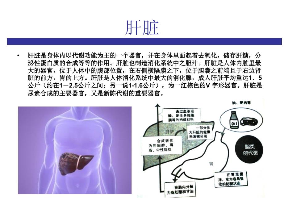 慢性病之肝病_郑州肝硬化治疗医院_第3页