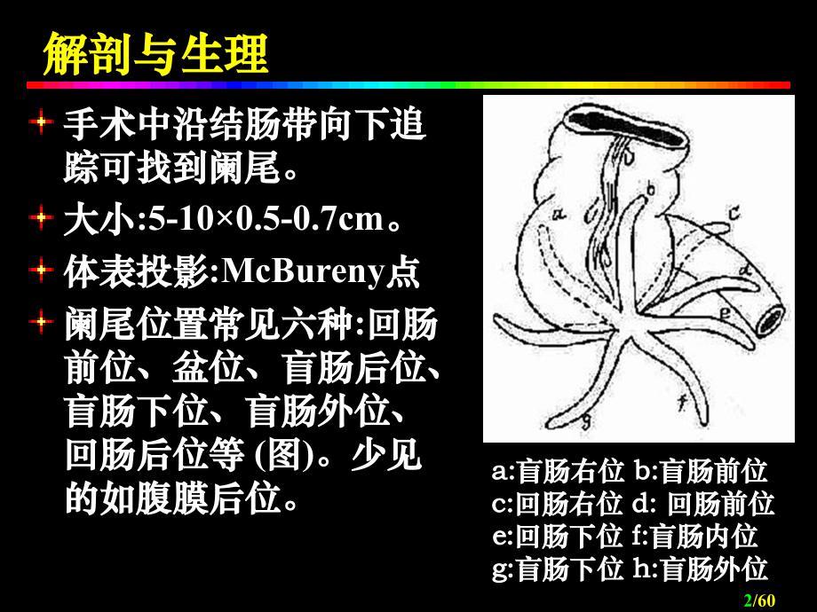 外科阑尾炎_第2页