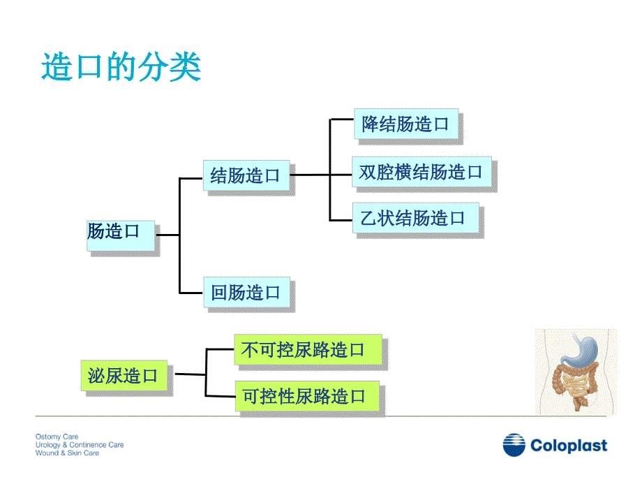 造口基础知识及造口护理发展_第5页