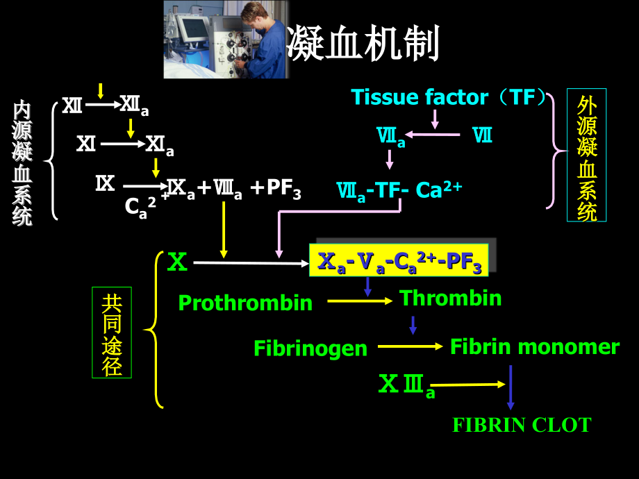 ICU中CRRT抗凝_第4页