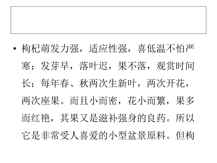 种植枸杞盆景悬根如何培育的经验_第2页