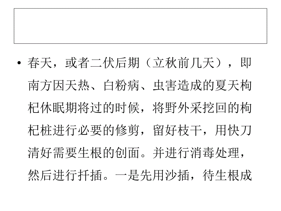 种植枸杞盆景悬根如何培育的经验_第4页