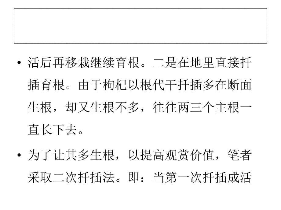 种植枸杞盆景悬根如何培育的经验_第5页