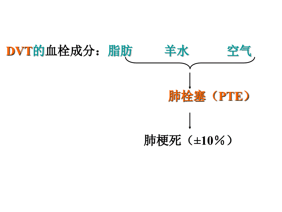 医院内静脉血栓栓塞症诊断与预防_第3页