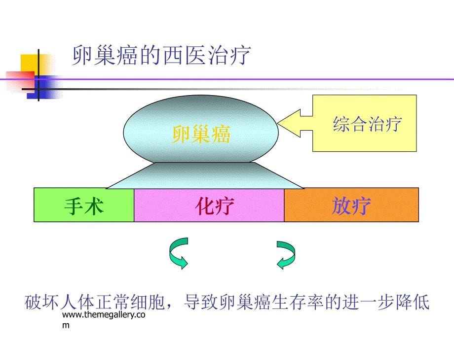 肖静切脉针灸治疗卵巢癌病例分享修改版_第5页