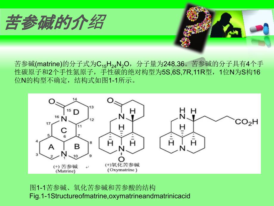 苦参碱的研究_第2页