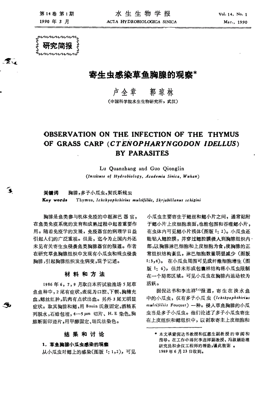 寄生虫感染草鱼胸腺的观察_第1页