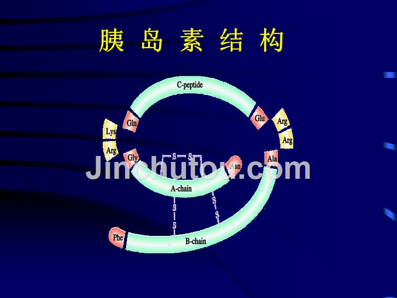 胰岛素的相关基础知识与围手术期的使用_第5页