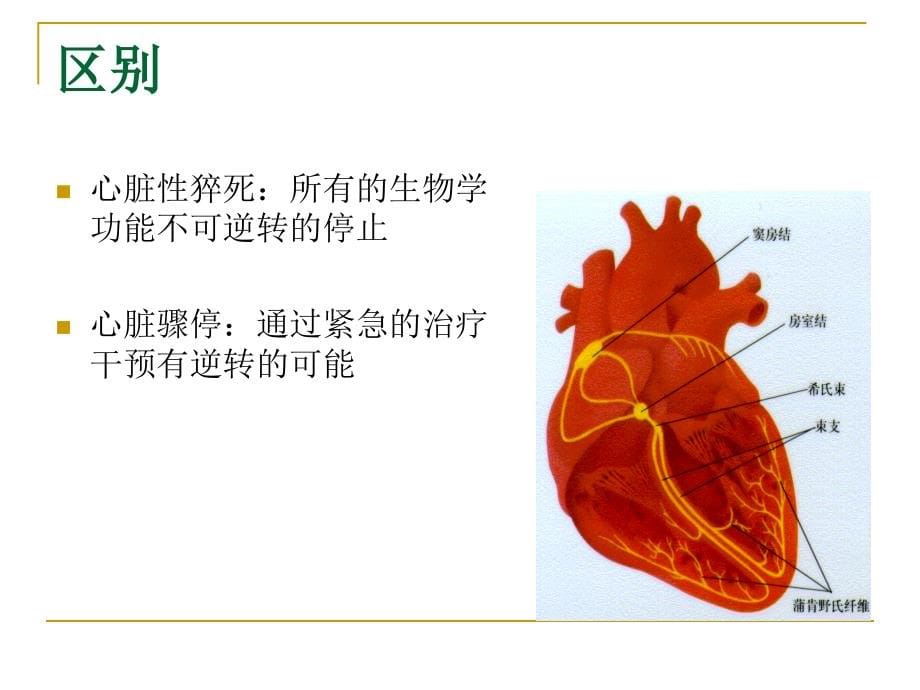 心脏性猝死与心肺复苏_第5页