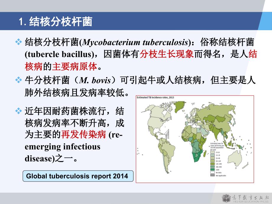 3版第7章呼吸道感染细菌_第4页