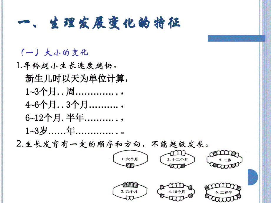 神经系统发育_第2页