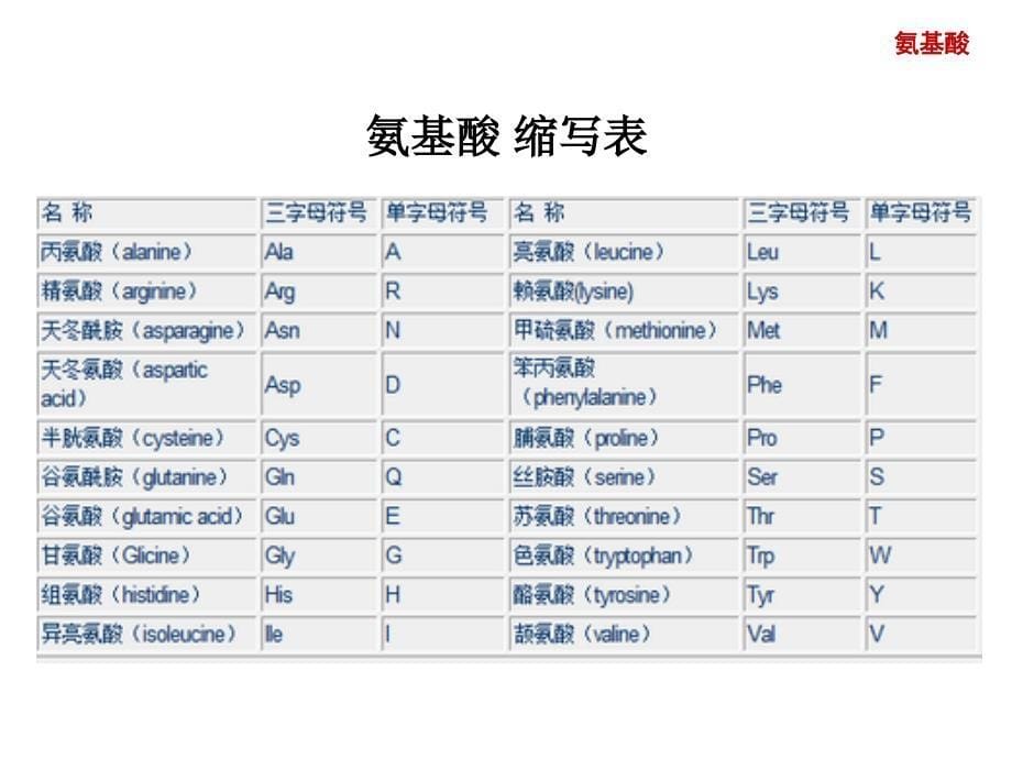 活性氨基酸、活性肽和活性蛋白质_第5页