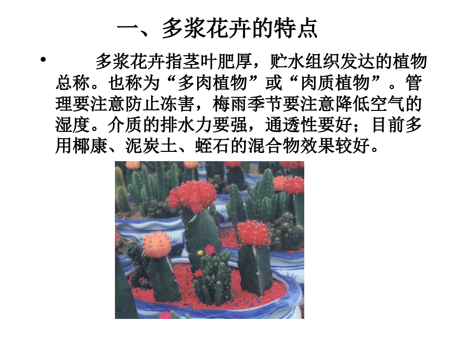 多浆花卉的特点_第1页