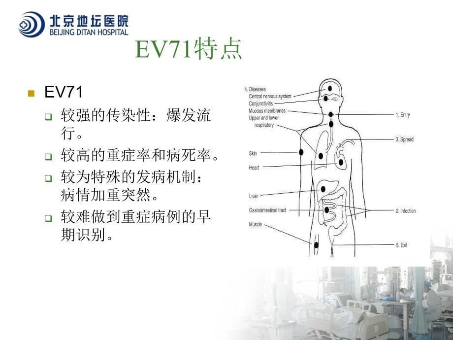 手足口病的学习内容_第5页