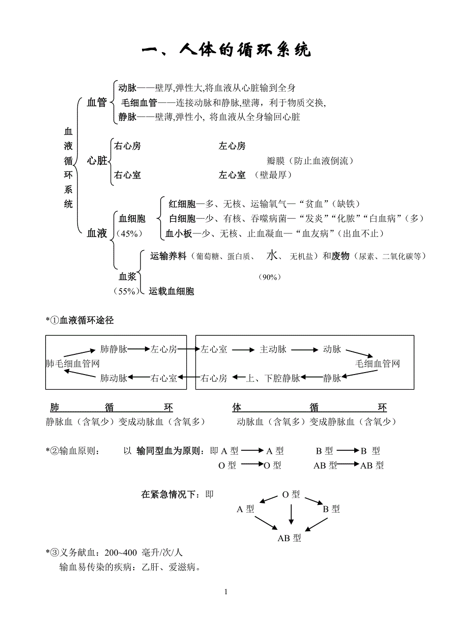 人体的循环系统_第1页