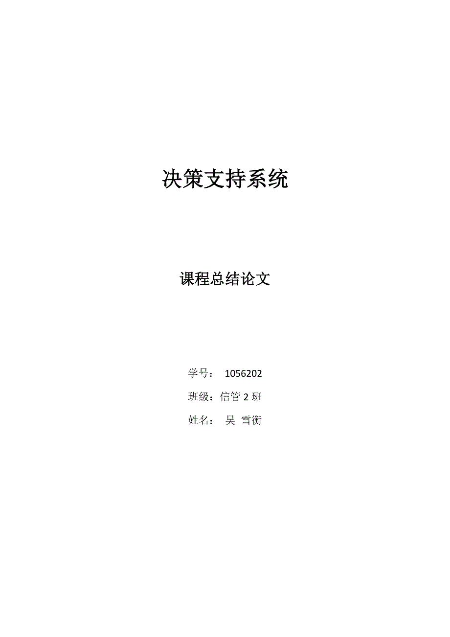 决策支持系统 论文_第1页