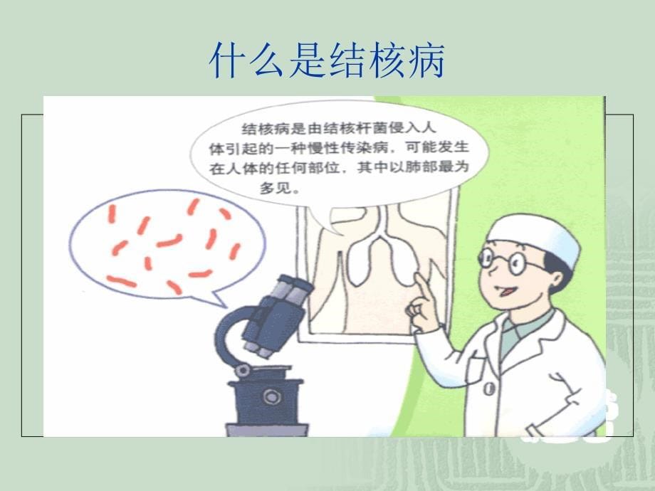 结核病的防治知识讲座(学生版)_第5页