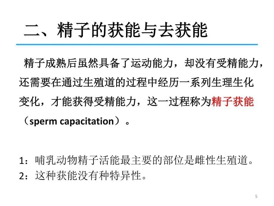 发育生物学讲课_2 受精_第5页