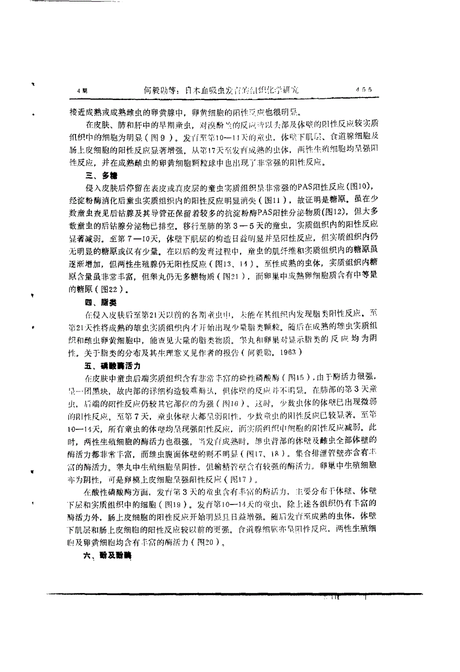日本血吸虫发育的组织化学研究_第3页