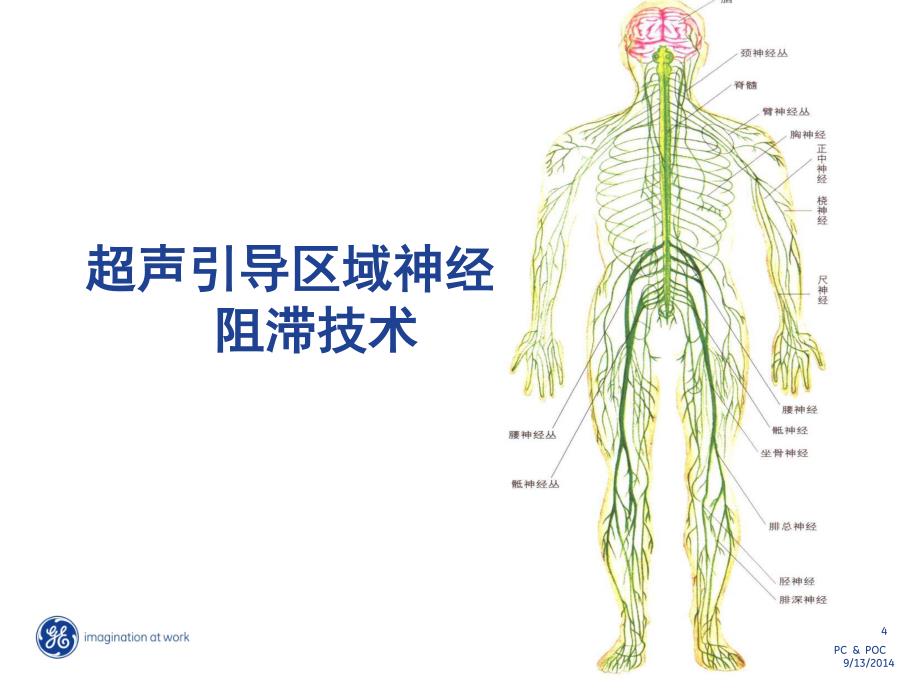 超声在疼痛科的临床应用_第4页