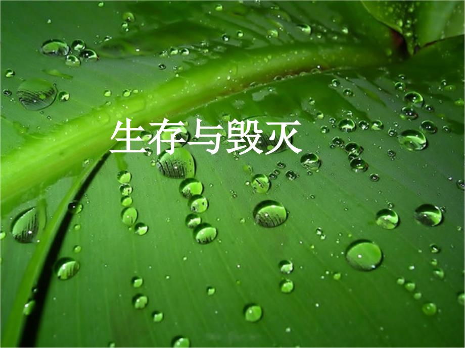 亚马逊原始部落_第1页