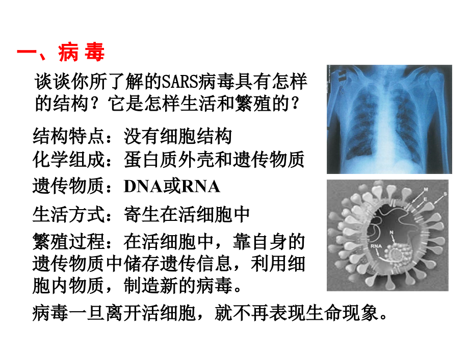 人教版高中生物必修一全套最好课件_第2页