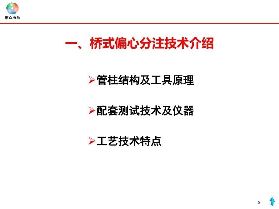 桥式偏心分层注水工艺技术汇报_第5页