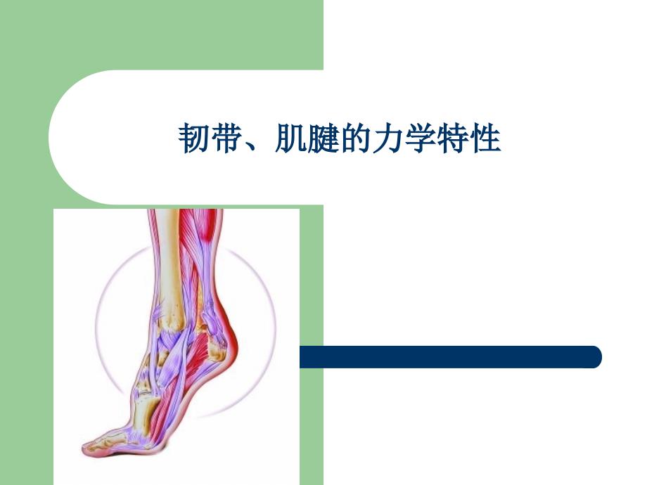 韧带、肌腱的力学特性_第1页