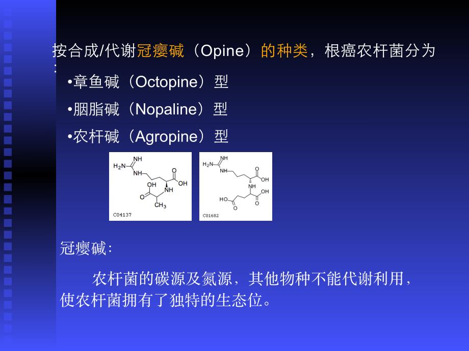 农杆菌介导遗传转化原理_第4页