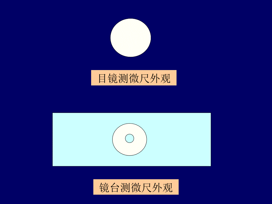 微生物综合实验(三个实验综合)_第4页