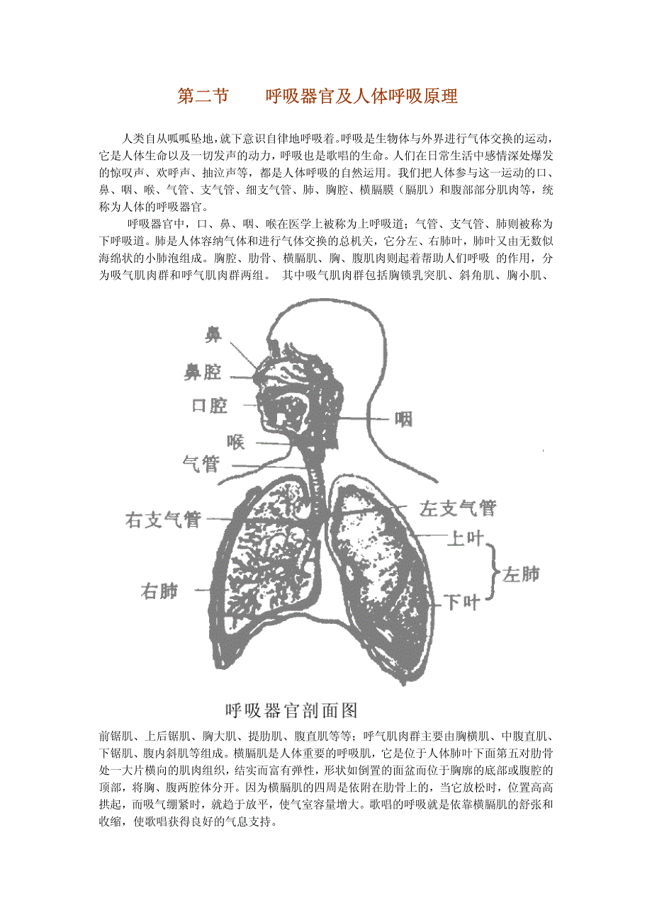 歌唱技巧——机理及运动原理_第2页