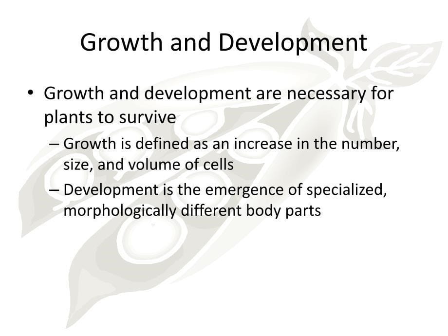 植物学及园艺学英文版 botany and horticulture (31)_第5页