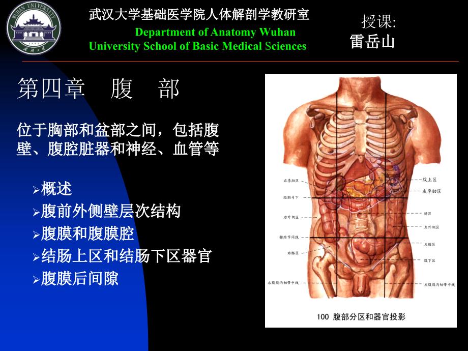 腹部理论及操作_第1页